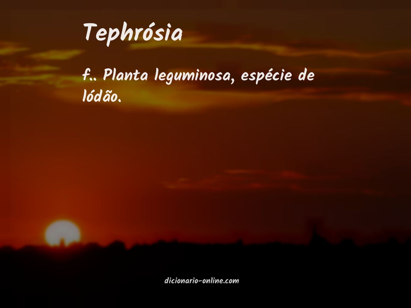 Significado de tephrósia