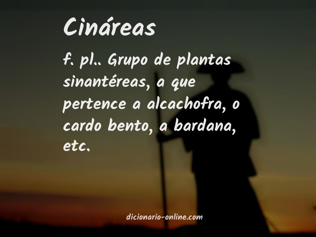 Significado de cináreas