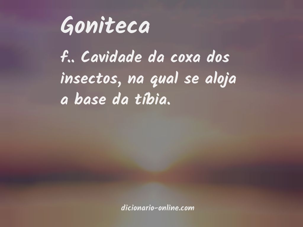 Significado de goniteca