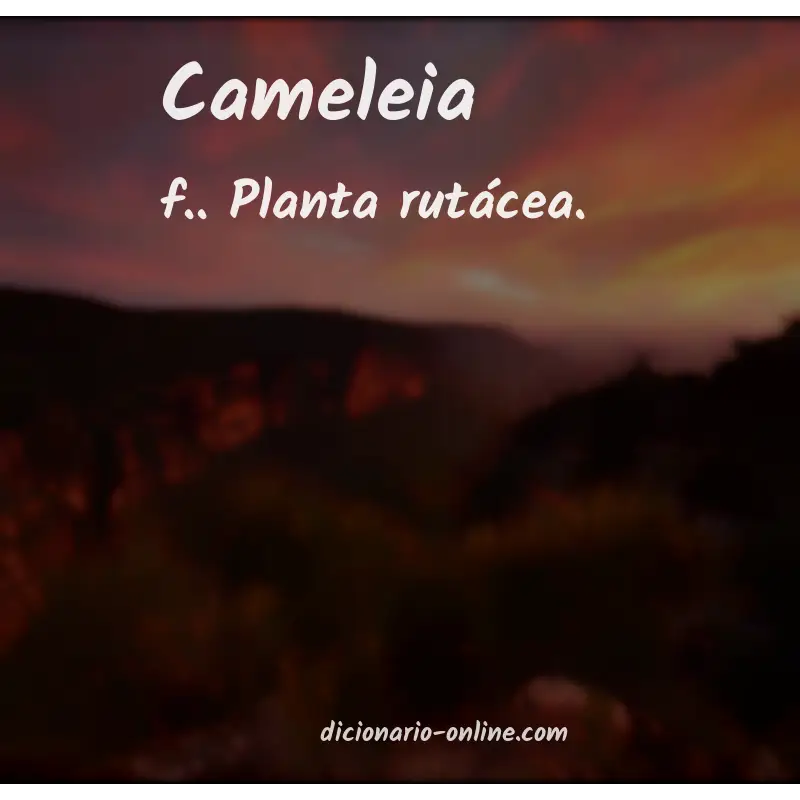 Significado de cameleia