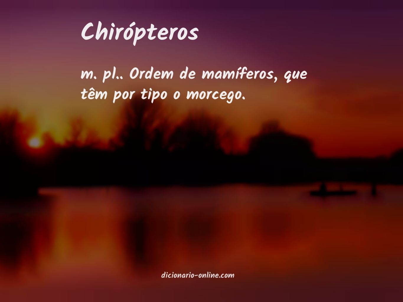 Significado de chirópteros