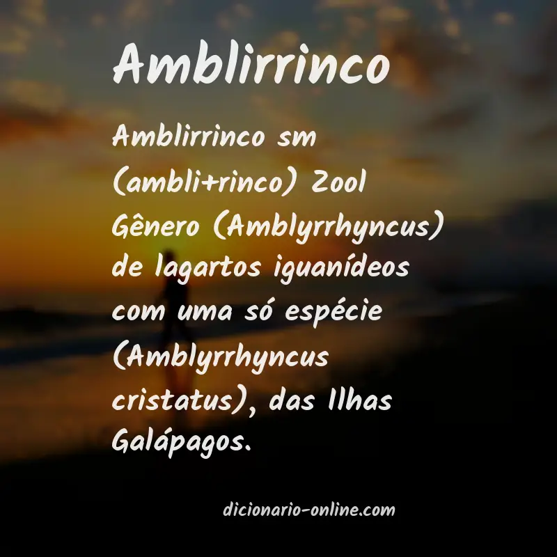Significado de amblirrinco