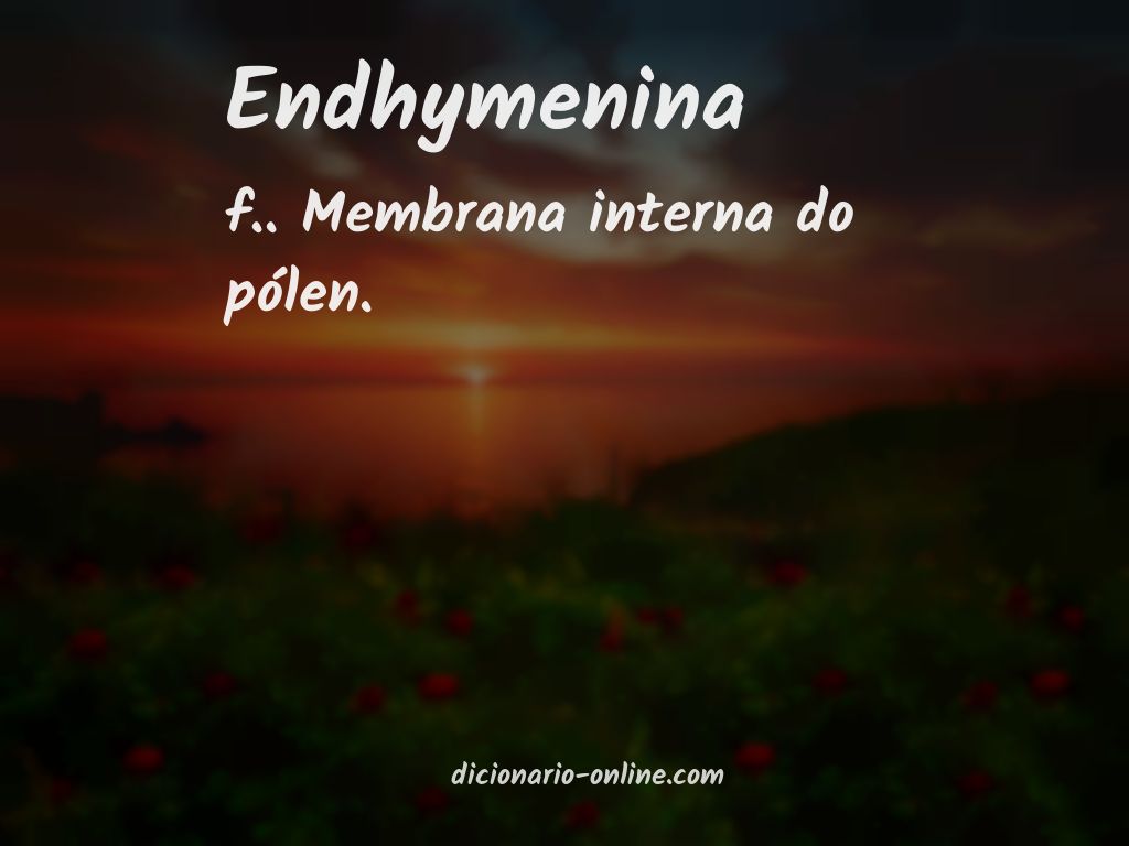 Significado de endhymenina