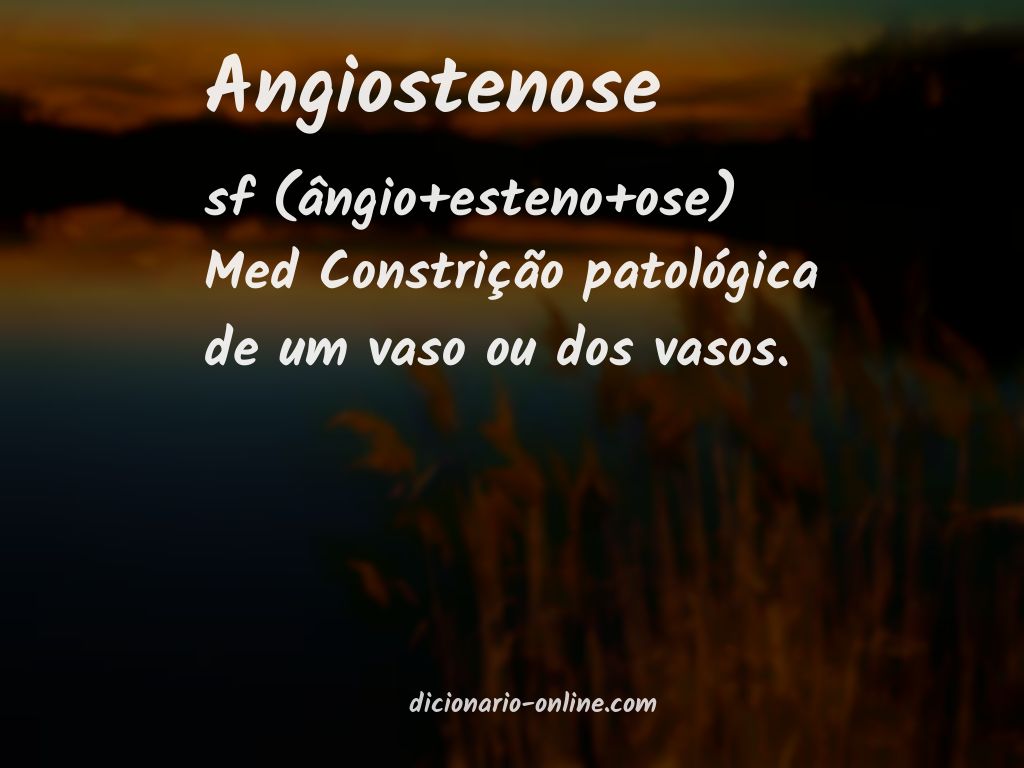 Significado de angiostenose