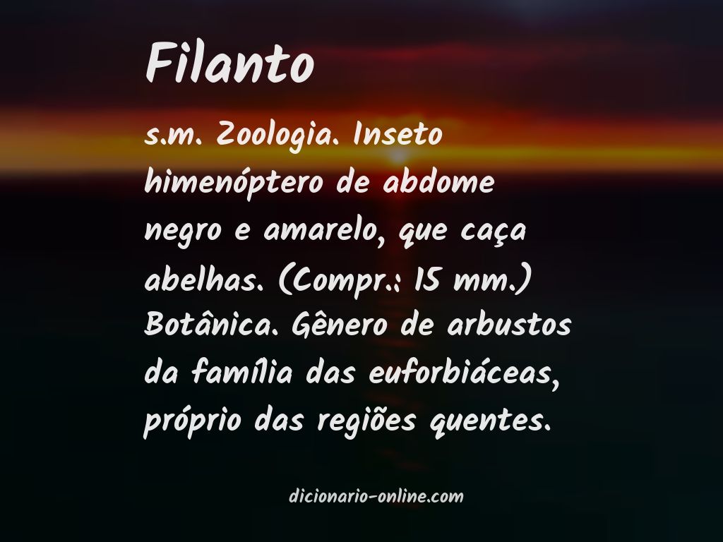 Significado de filanto