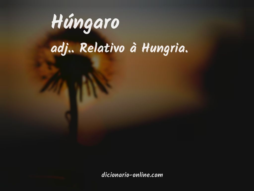 Significado de húngaro