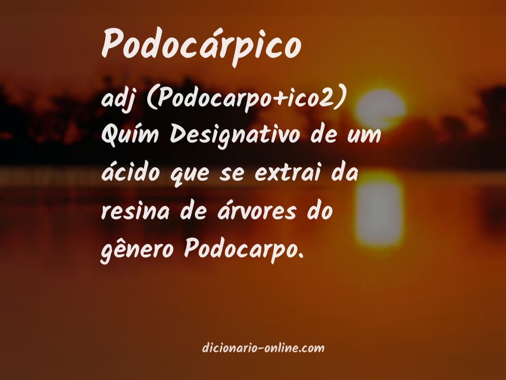 Significado de podocárpico