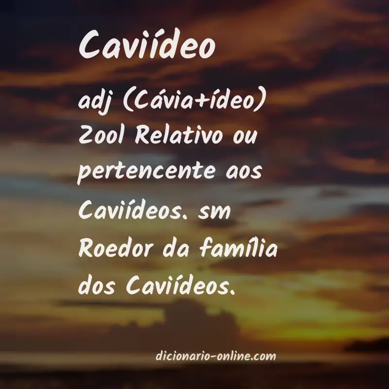 Significado de caviídeo