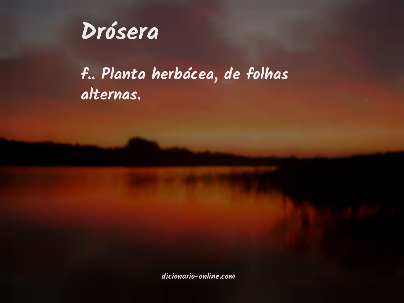 Significado de drósera