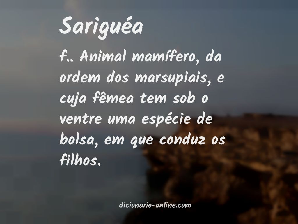 Significado de sariguéa