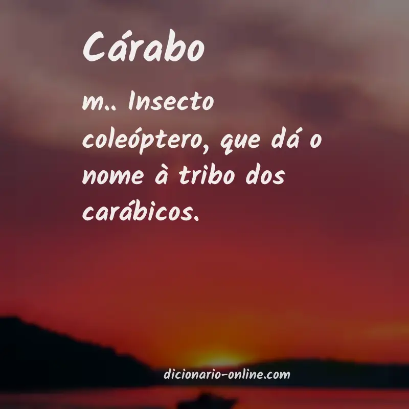 Significado de cárabo