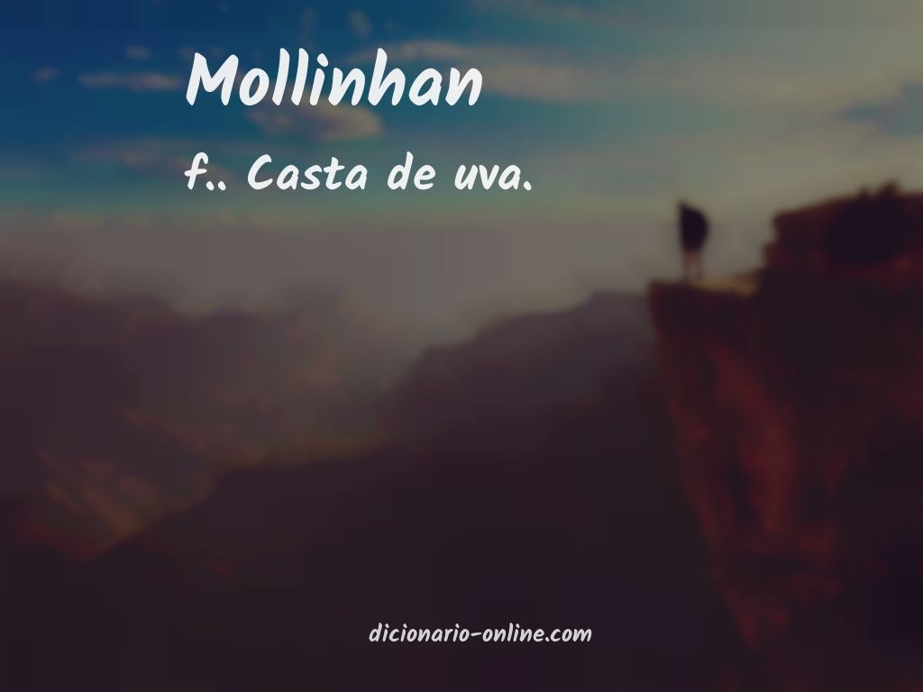 Significado de mollinhan