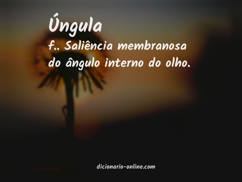 Significado de úngula