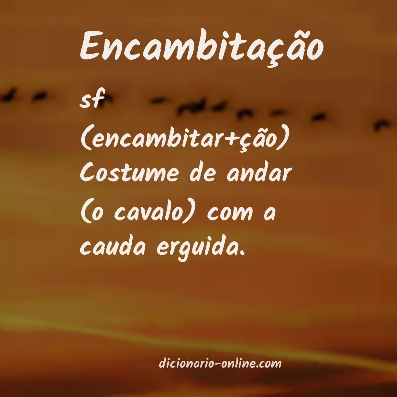 Significado de encambitação