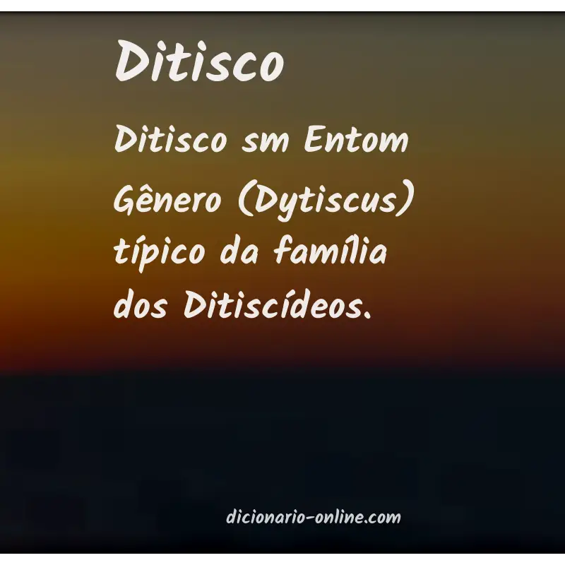 Significado de ditisco