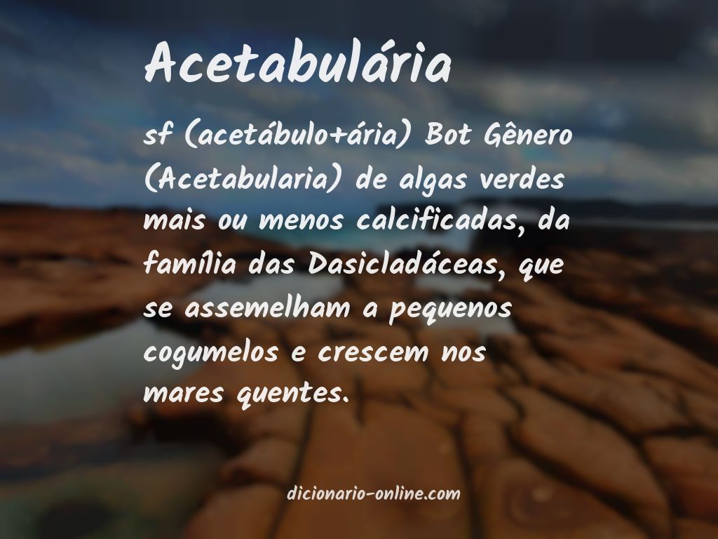 Significado de acetabulária