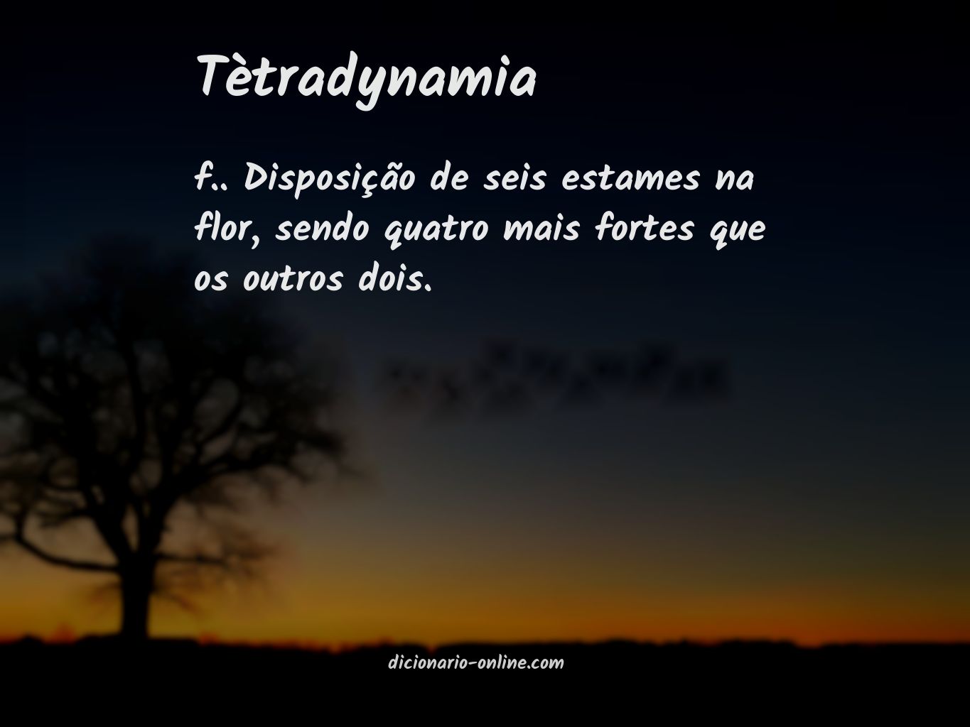 Significado de tètradynamia