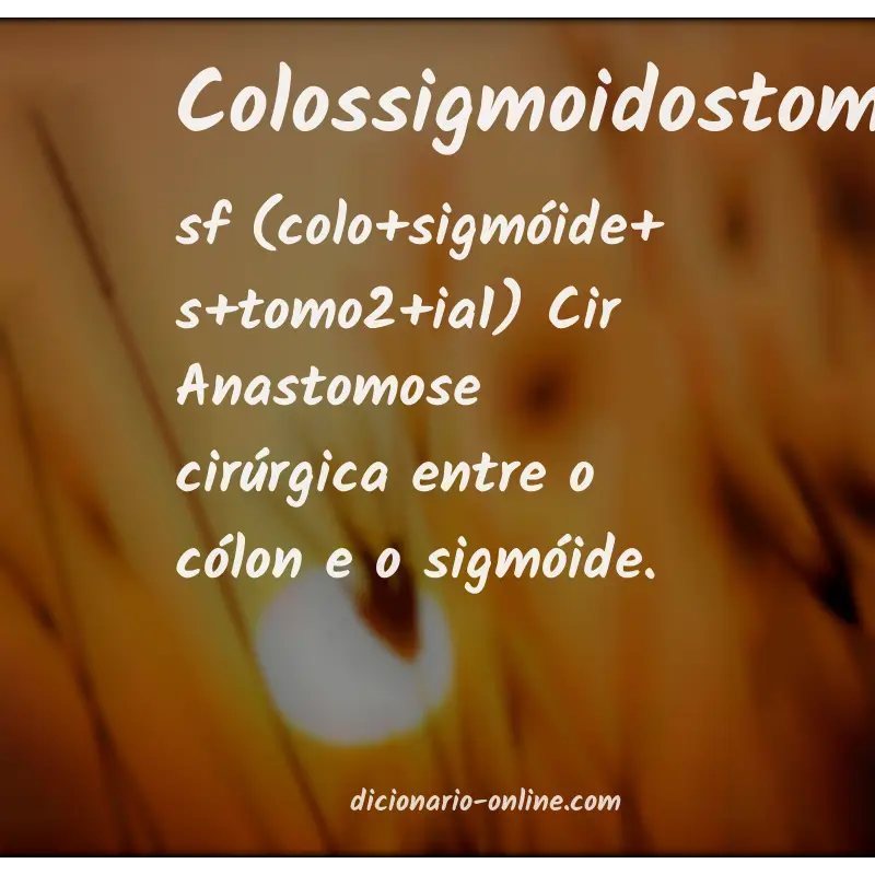 Significado de colossigmoidostomia