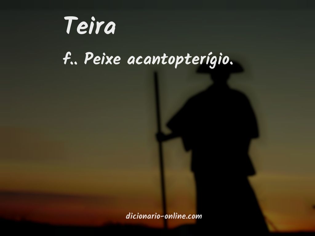 Significado de teira