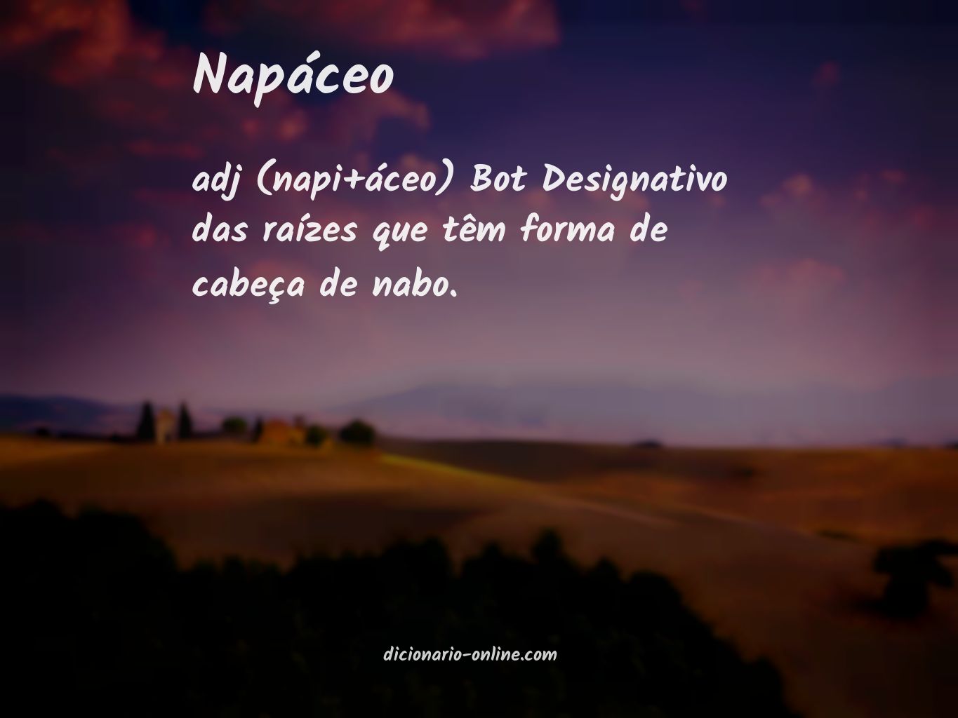 Significado de napáceo