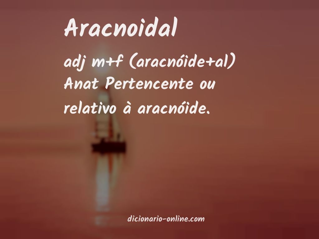 Significado de aracnoidal