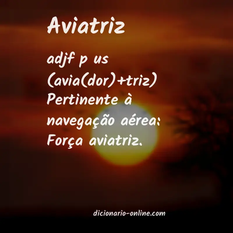 Significado de aviatriz