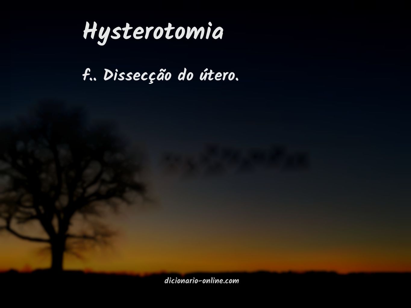 Significado de hysterotomia