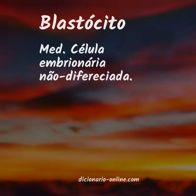 Significado de blastócito