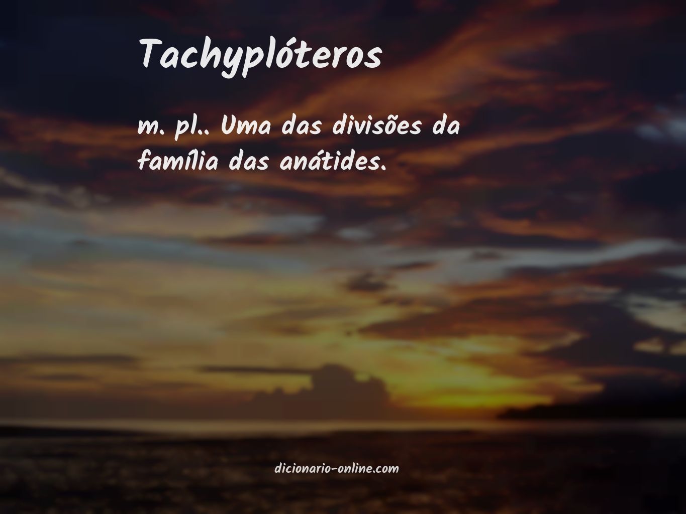 Significado de tachyplóteros