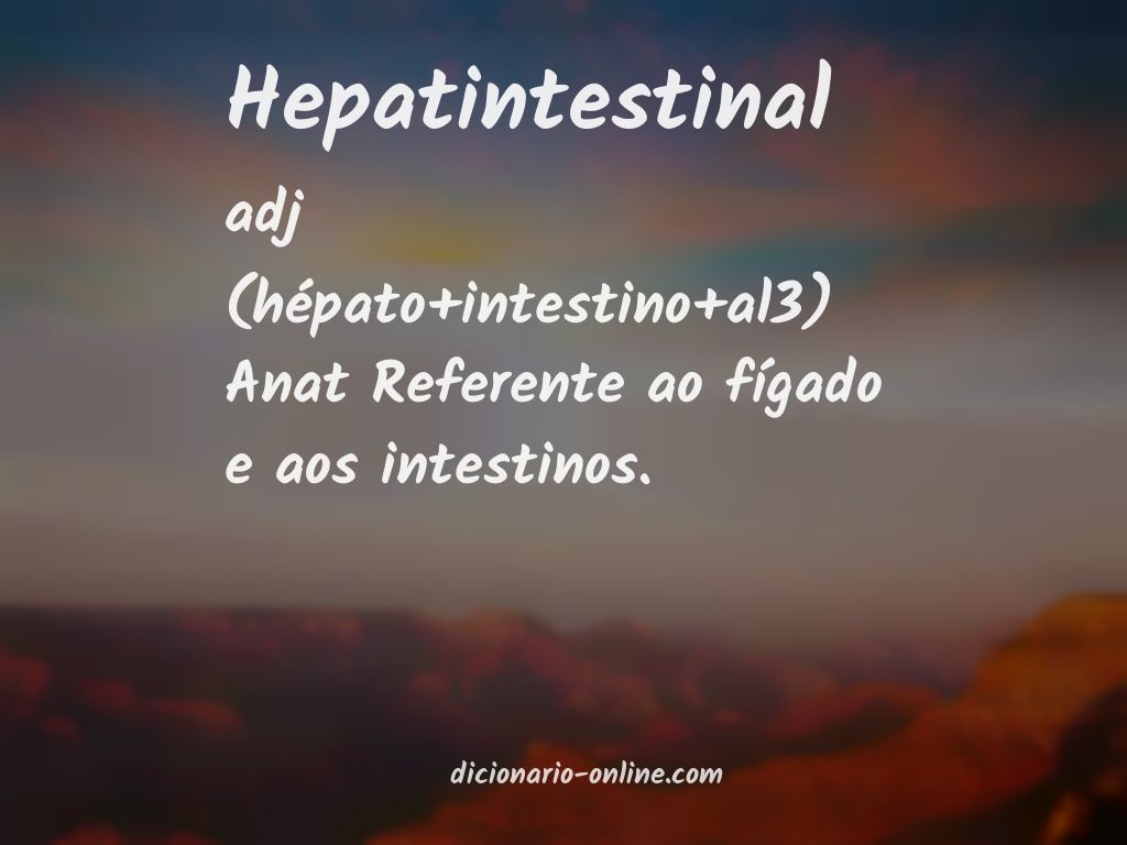 Significado de hepatintestinal