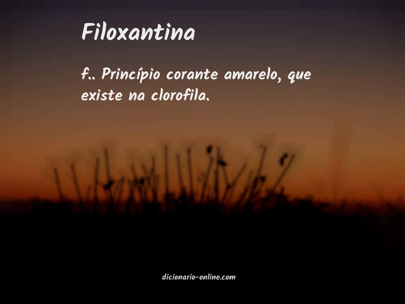 Significado de filoxantina