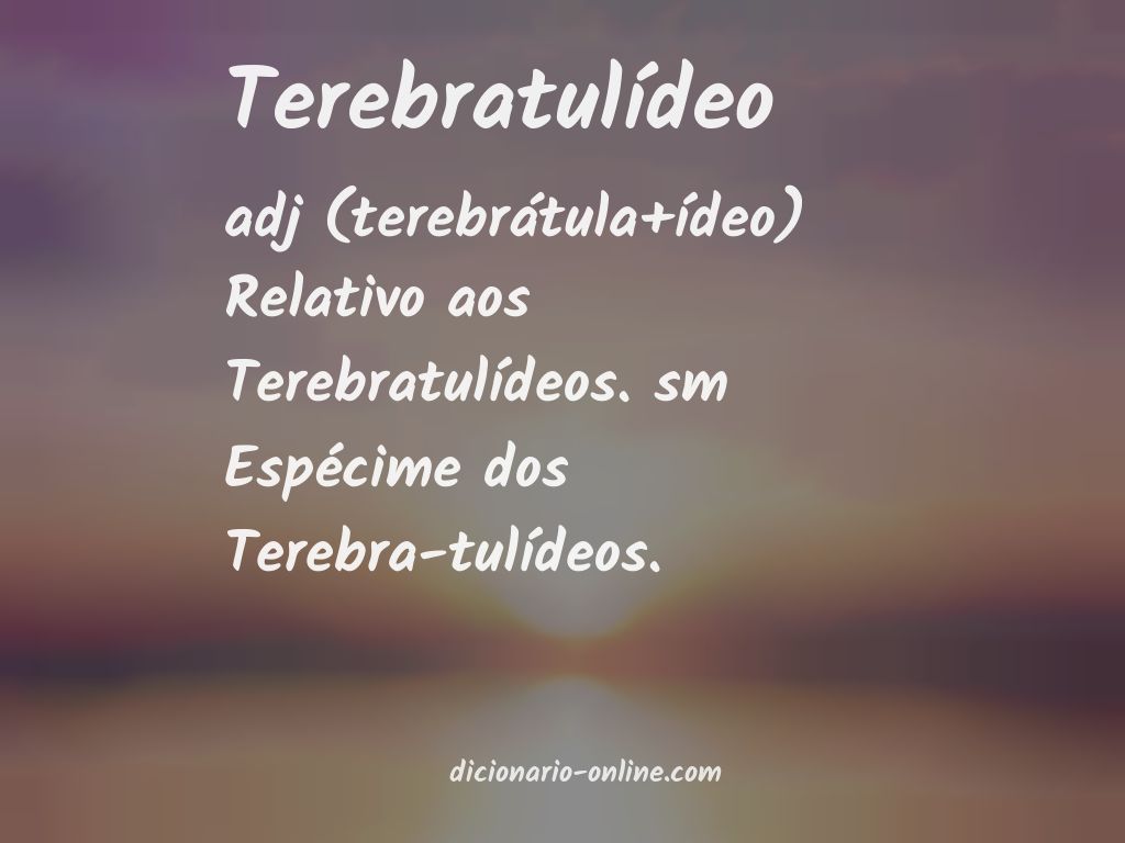 Significado de terebratulídeo