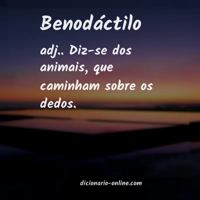 Significado de benodáctilo