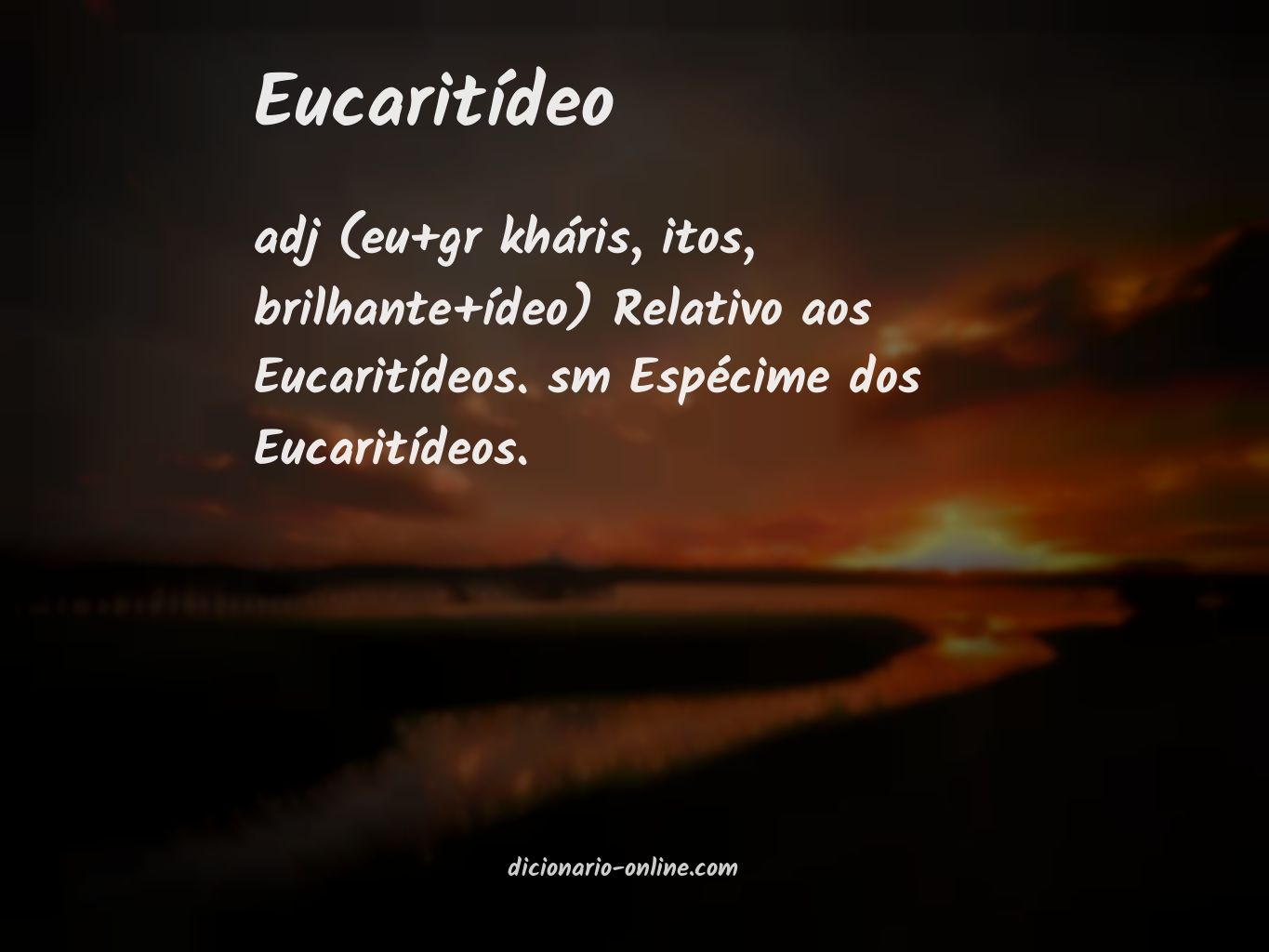 Significado de eucaritídeo