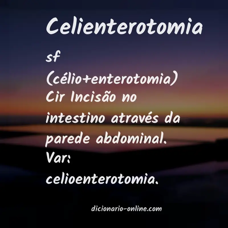 Significado de celienterotomia