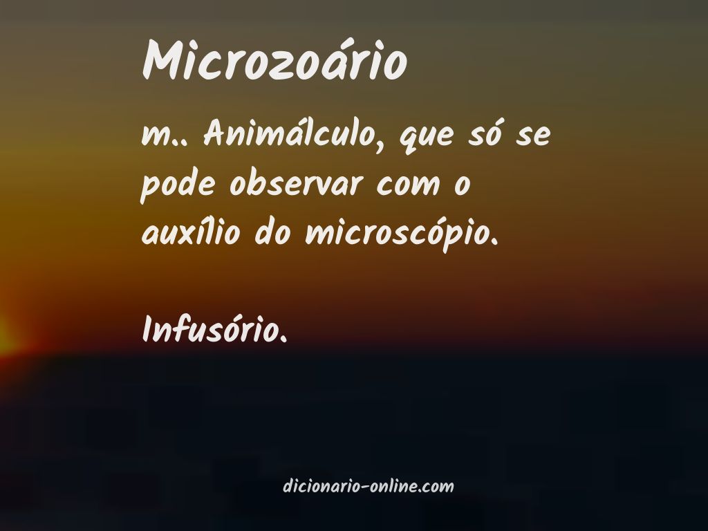 Significado de microzoário