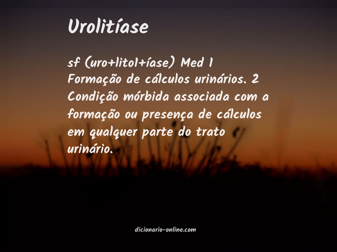 Significado de urolitíase