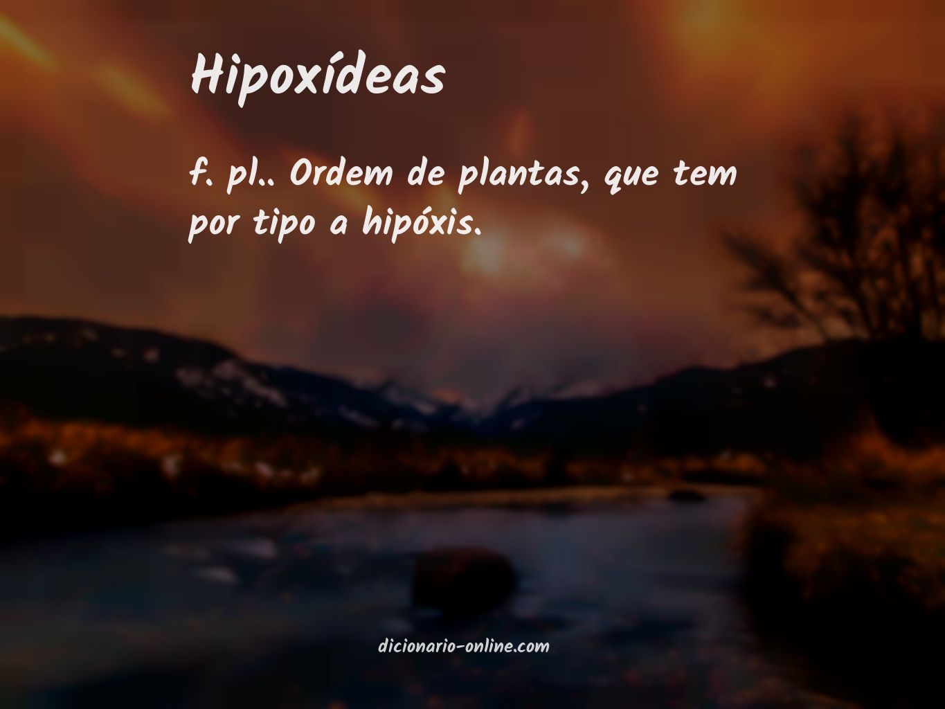 Significado de hipoxídeas