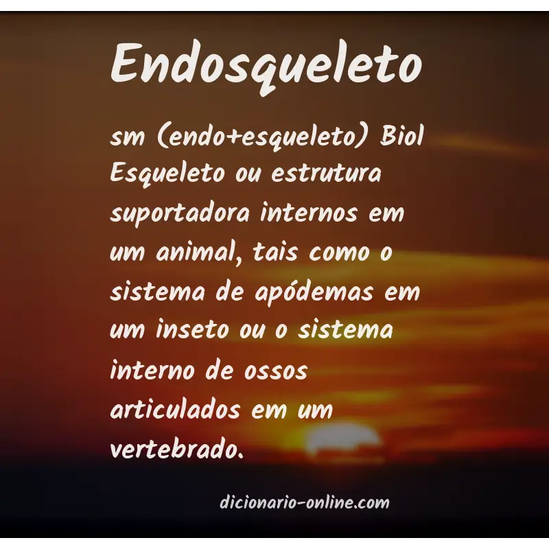 Significado de endosqueleto