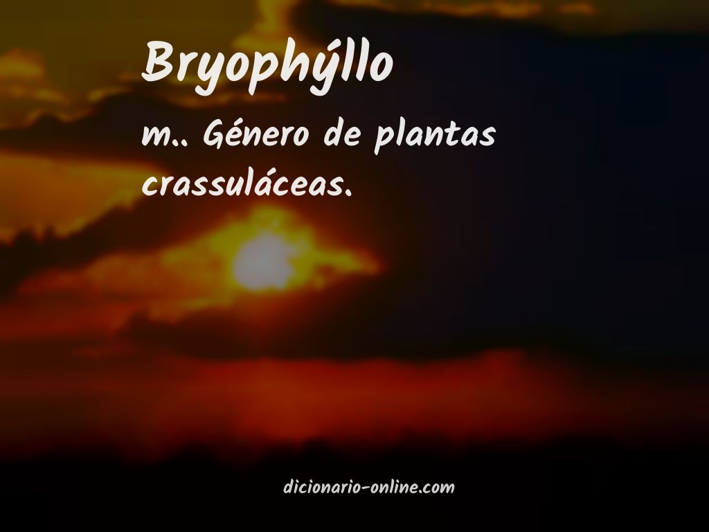 Significado de bryophýllo