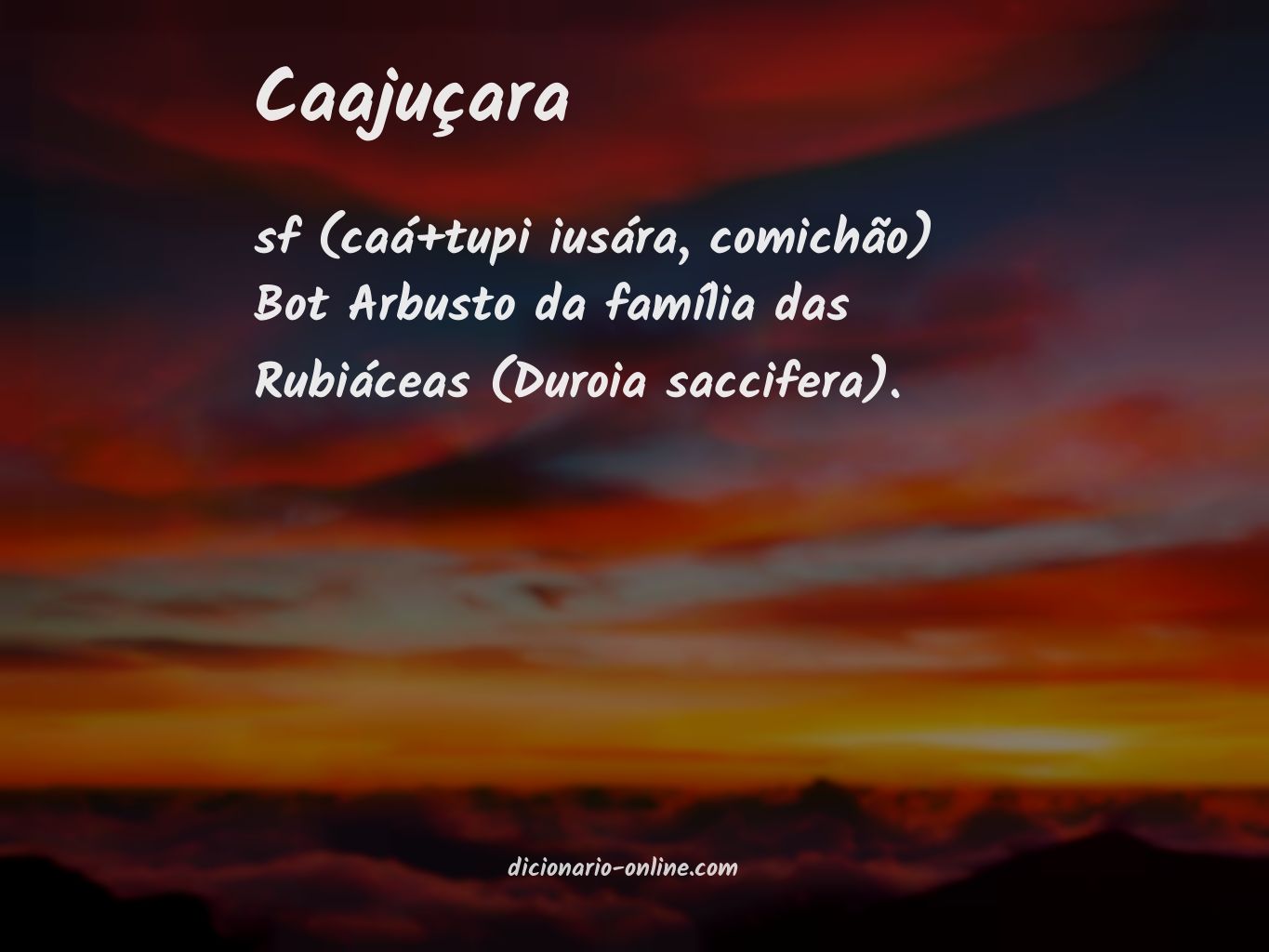 Significado de caajuçara