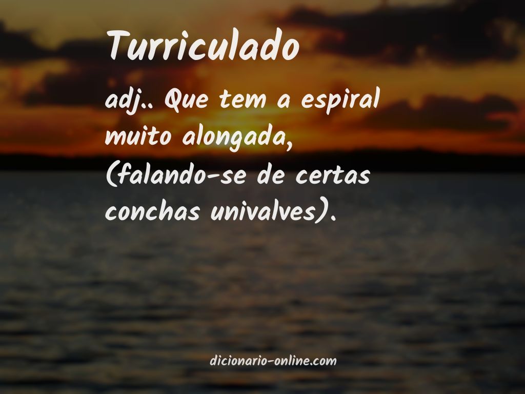 Significado de turriculado