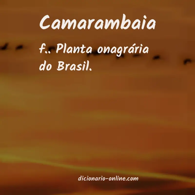 Significado de camarambaia