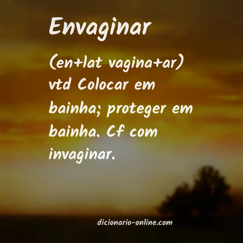 Significado de envaginar