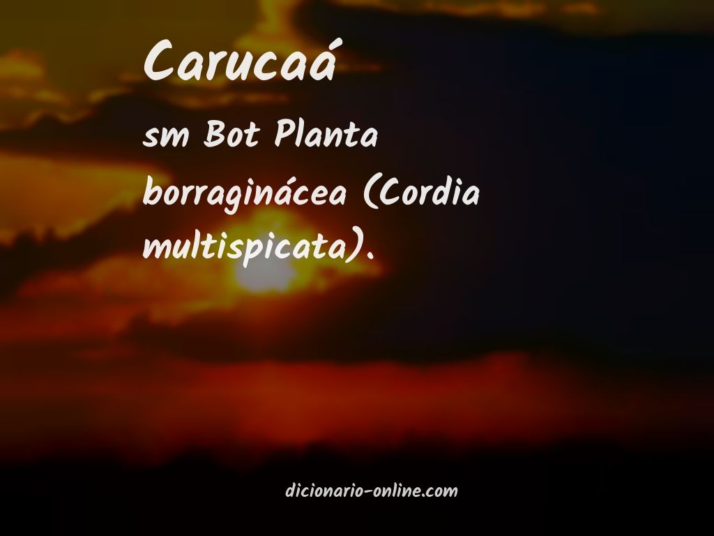 Significado de carucaá