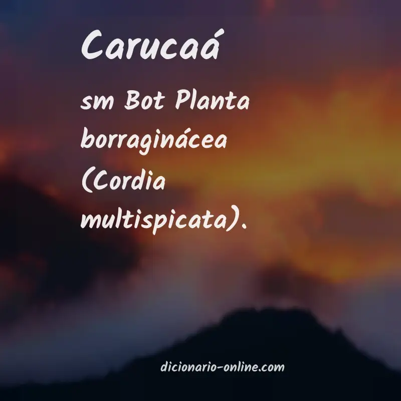 Significado de carucaá
