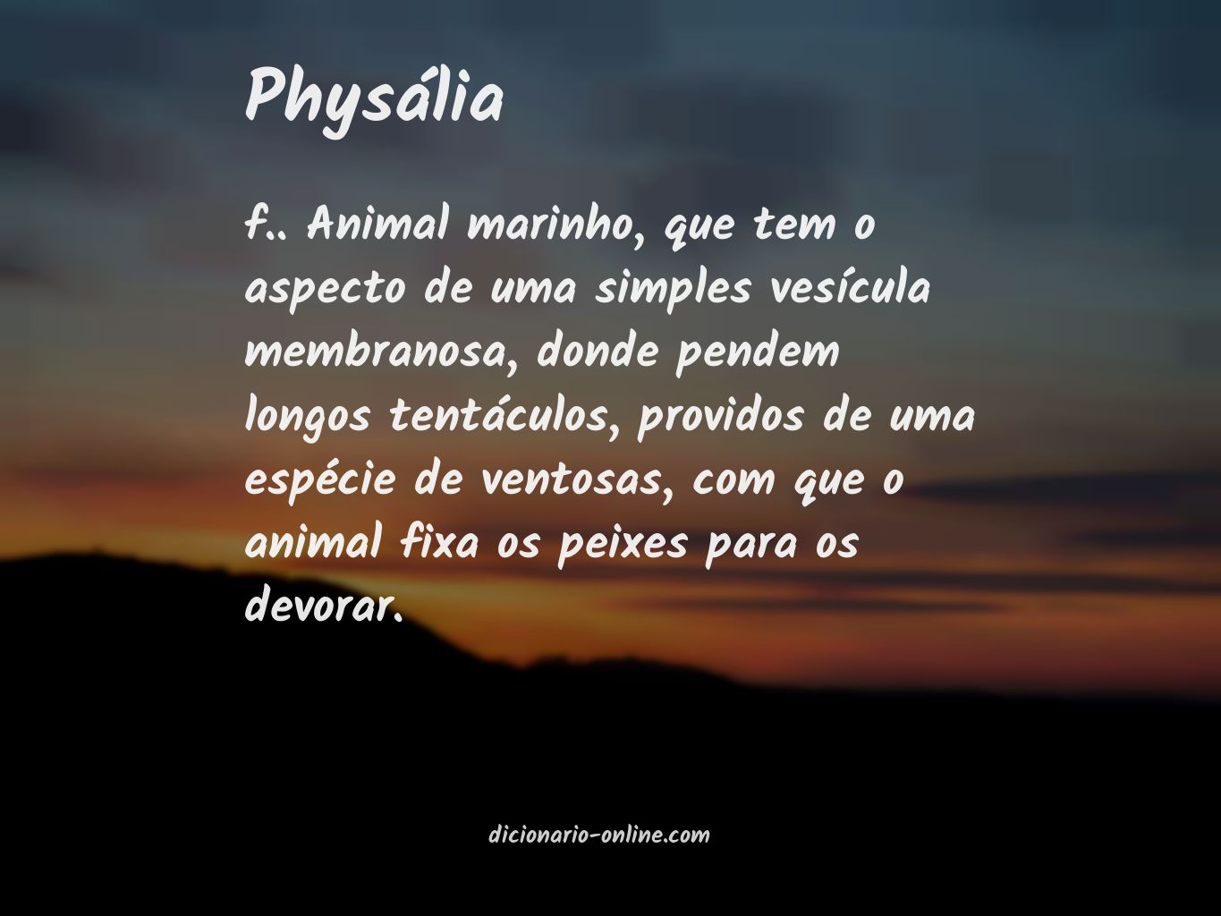 Significado de physália