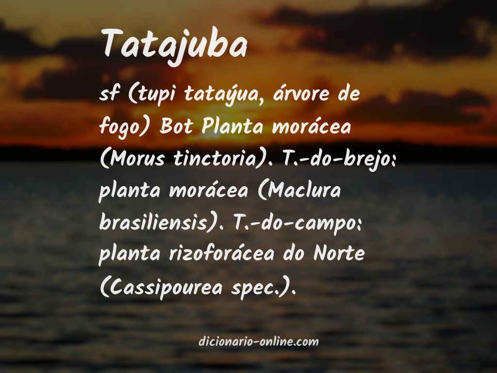 Significado de tatajuba