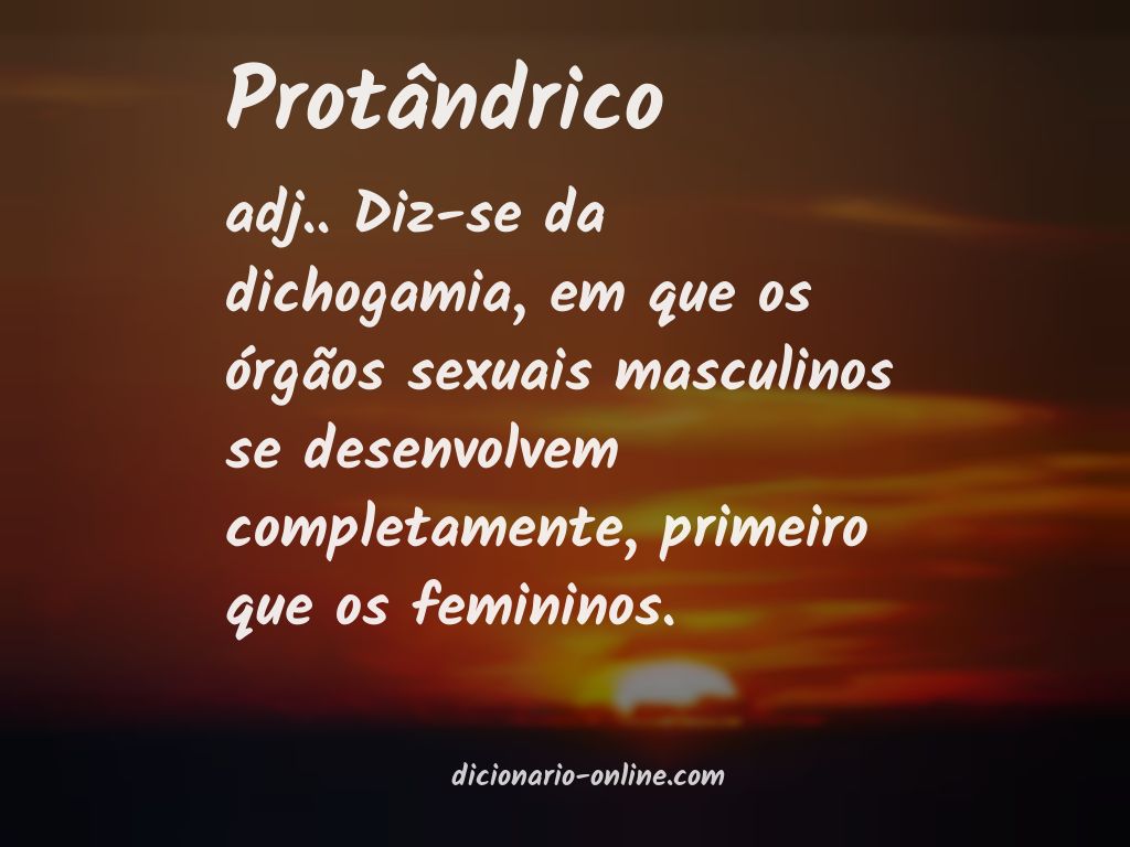 Significado de protândrico