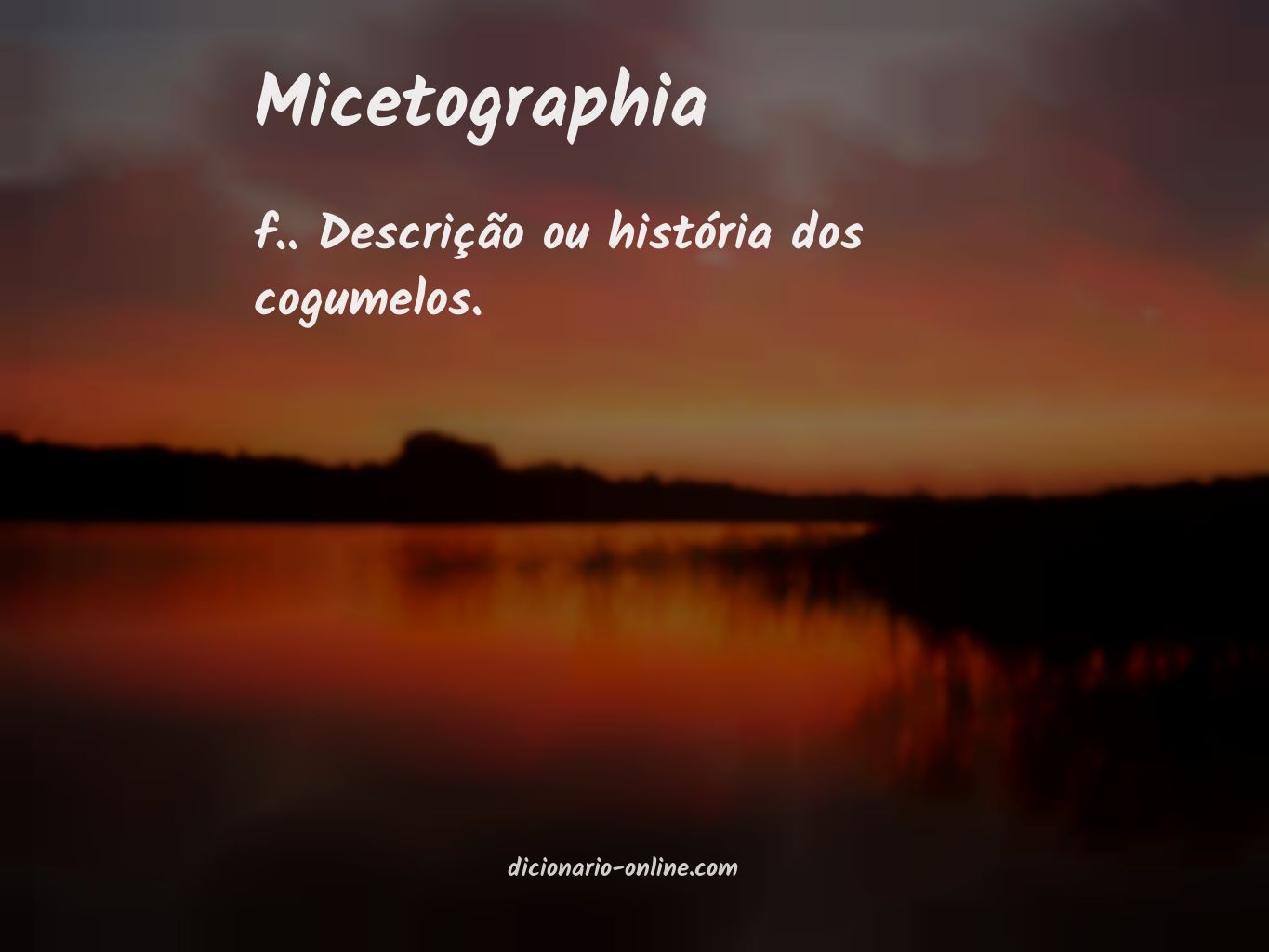 Significado de micetographia
